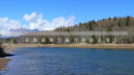 花呗逾期芝麻分还能上涨么 花呗逾期芝麻分还能上涨么