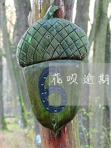 花呗逾期芝麻分降了20 花呗逾期芝麻分降了20
