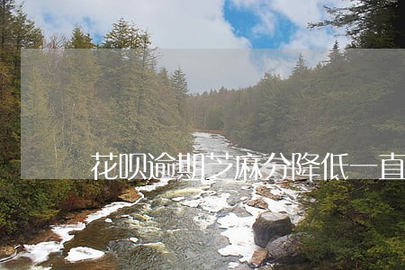 花呗逾期芝麻分降低一直不涨 花呗逾期芝麻分降低一直不涨