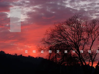 花呗逾期芝麻分降低怎么恢复 花呗逾期芝麻分降低怎么恢复