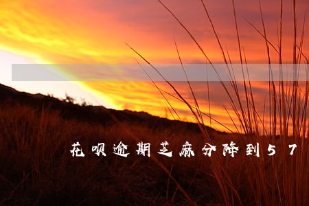 花呗逾期芝麻分降到578 花呗逾期芝麻分降到578