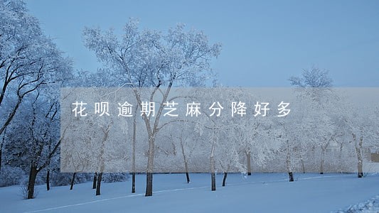 花呗逾期芝麻分降好多 花呗逾期芝麻分降好多