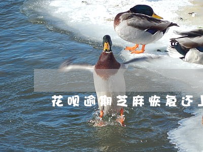 花呗逾期芝麻恢复还上征信吗 花呗逾期芝麻恢复还上征信吗