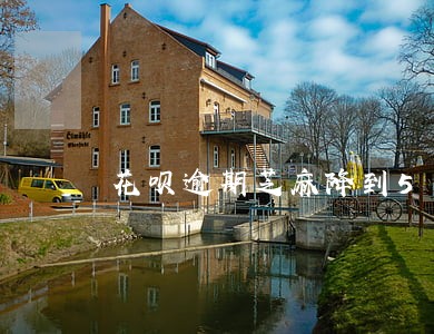 花呗逾期芝麻降到558 花呗逾期芝麻降到558