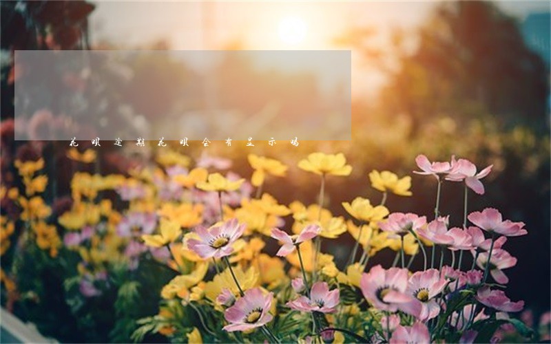 花呗逾期花呗会有显示吗 花呗逾期花呗会有显示吗