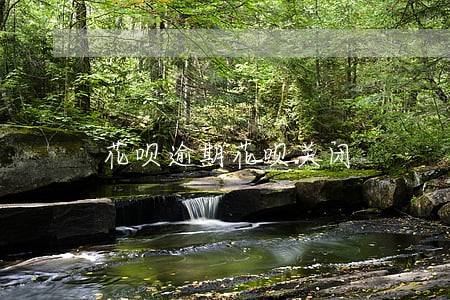 花呗逾期花呗关闭