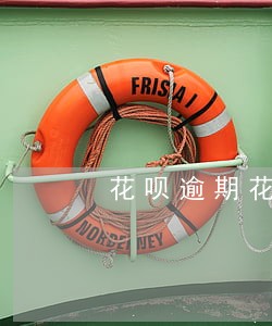 花呗逾期花呗关闭怎么还款 花呗逾期花呗关闭怎么还款