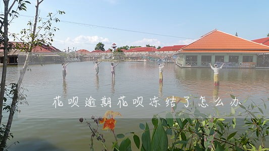 花呗逾期花呗冻结了怎么办 花呗逾期花呗冻结了怎么办