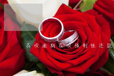 花呗逾期花呗强制性还款怎么办 花呗逾期花呗强制性还款怎么办