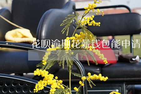 花呗逾期花薪钱包能申请通过吗 花呗逾期花薪钱包能申请通过吗