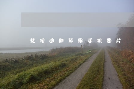 花呗逾期苹果手机图片 花呗逾期苹果手机图片