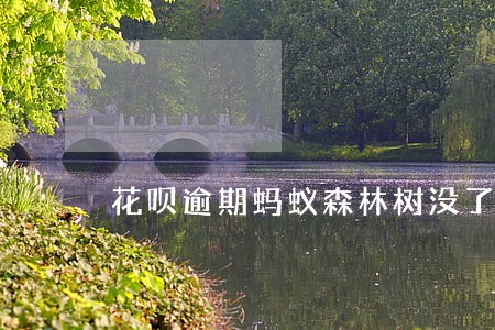 花呗逾期蚂蚁森林树没了