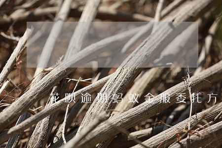 花呗逾期蚂蚁金服委托方 花呗逾期蚂蚁金服委托方