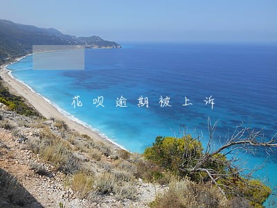 花呗逾期被上诉 花呗逾期被上诉