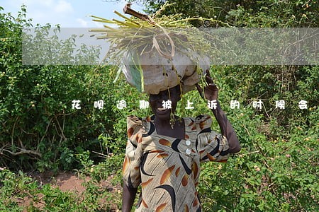 花呗逾期被上诉的时候会收到什么 花呗逾期被上诉的时候会收到什么