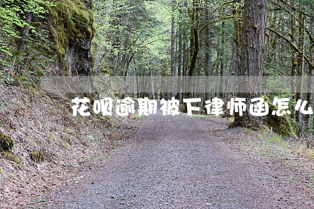 花呗逾期被下律师函怎么办 花呗逾期被下律师函怎么办