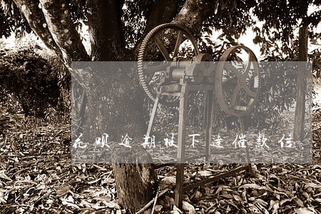 花呗逾期被下达催款信 花呗逾期被下达催款信