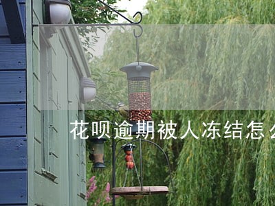 花呗逾期被人冻结怎么办 花呗逾期被人冻结怎么办