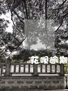 花呗逾期被仲裁怎么办 花呗逾期被仲裁怎么办
