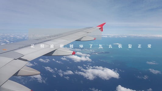 花呗逾期被停了怎么恢复正常 花呗逾期被停了怎么恢复正常