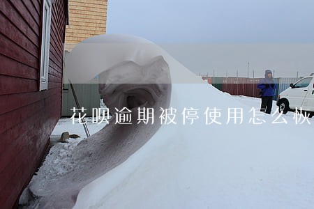 花呗逾期被停使用怎么恢复 花呗逾期被停使用怎么恢复