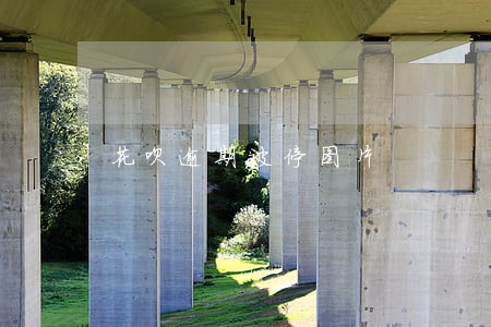 花呗逾期被停图片