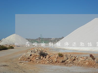花呗逾期被停还能恢复吗 花呗逾期被停还能恢复吗