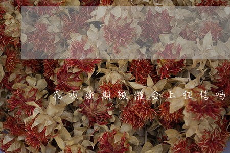 花呗逾期被催会上征信吗 花呗逾期被催会上征信吗