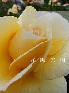 花呗逾期被催还全款 花呗逾期被催还全款