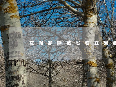 花呗逾期被公安立案会怎样 花呗逾期被公安立案会怎样