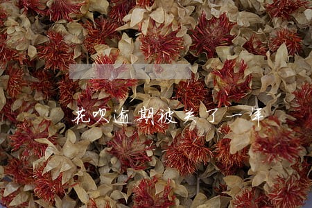 花呗逾期被关了一年 花呗逾期被关了一年