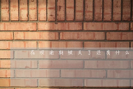 花呗逾期被关了还有什么后果 花呗逾期被关了还有什么后果