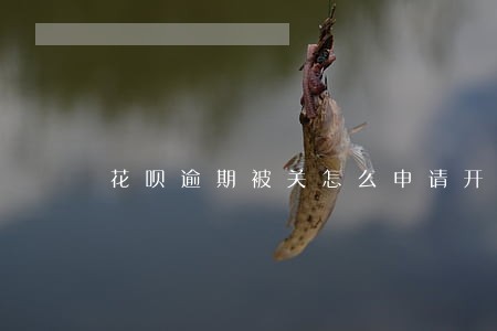 花呗逾期被关怎么申请开通 花呗逾期被关怎么申请开通