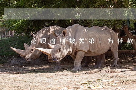 花呗逾期被关第三方催款