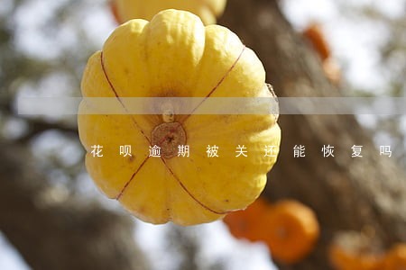 花呗逾期被关还能恢复吗