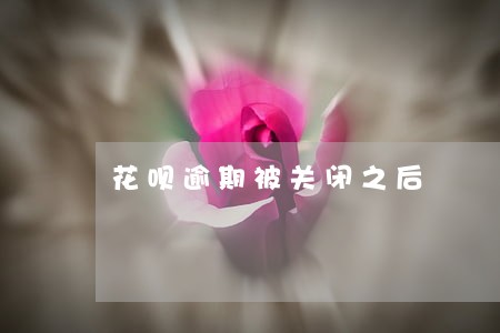 花呗逾期被关闭之后