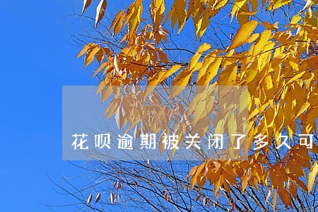 花呗逾期被关闭了多久可以开通 花呗逾期被关闭了多久可以开通