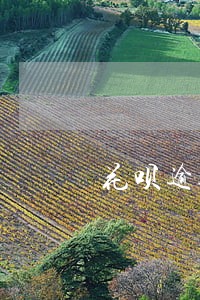 花呗逾期被关闭了多久才可以用啊 花呗逾期被关闭了多久才可以用啊