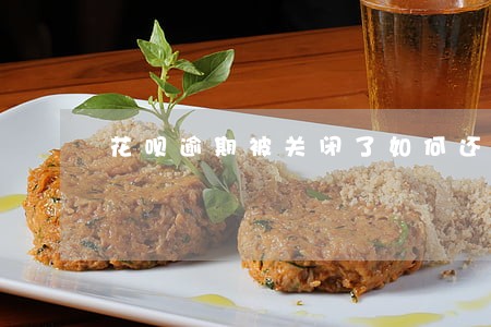 花呗逾期被关闭了如何还款 花呗逾期被关闭了如何还款