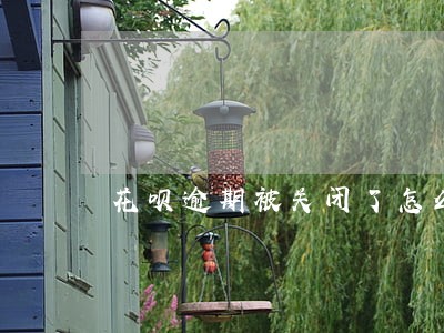 花呗逾期被关闭了怎么才能开通 花呗逾期被关闭了怎么才能开通