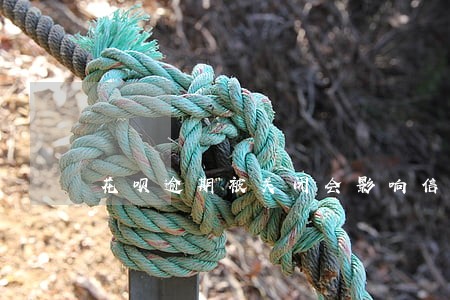 花呗逾期被关闭会影响信用吗 花呗逾期被关闭会影响信用吗