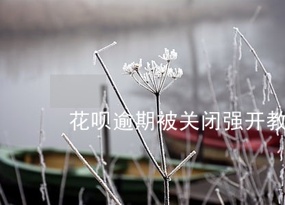 花呗逾期被关闭强开教程 花呗逾期被关闭强开教程