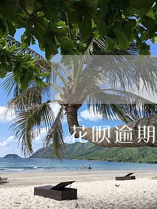 花呗逾期被关闭怎么样可以 花呗逾期被关闭怎么样可以