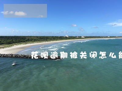 花呗逾期被关闭怎么能在开开 花呗逾期被关闭怎么能在开开