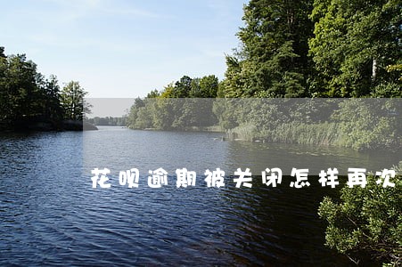 花呗逾期被关闭怎样再次开通 花呗逾期被关闭怎样再次开通