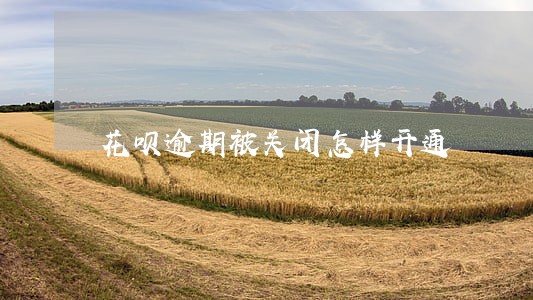 花呗逾期被关闭怎样开通 花呗逾期被关闭怎样开通