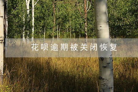 花呗逾期被关闭恢复 花呗逾期被关闭恢复