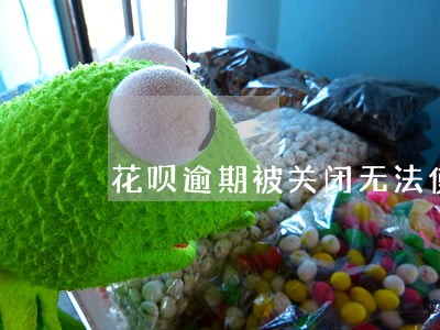 花呗逾期被关闭无法使用 花呗逾期被关闭无法使用