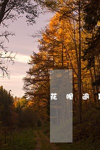 花呗逾期被关闭能重新开通吗 花呗逾期被关闭能重新开通吗