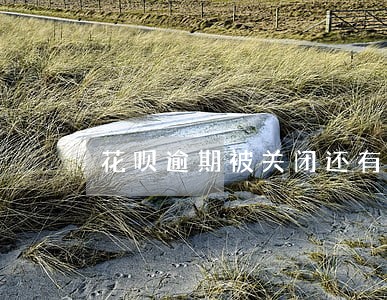 花呗逾期被关闭还有机会开通吗